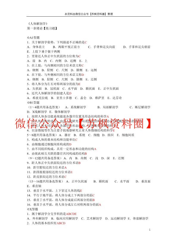 人体解剖学